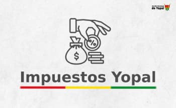 Impuestos Yopal